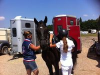 championnat de France 2013 