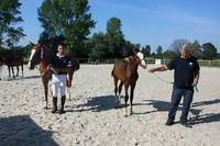 Concours régional Diego et Java